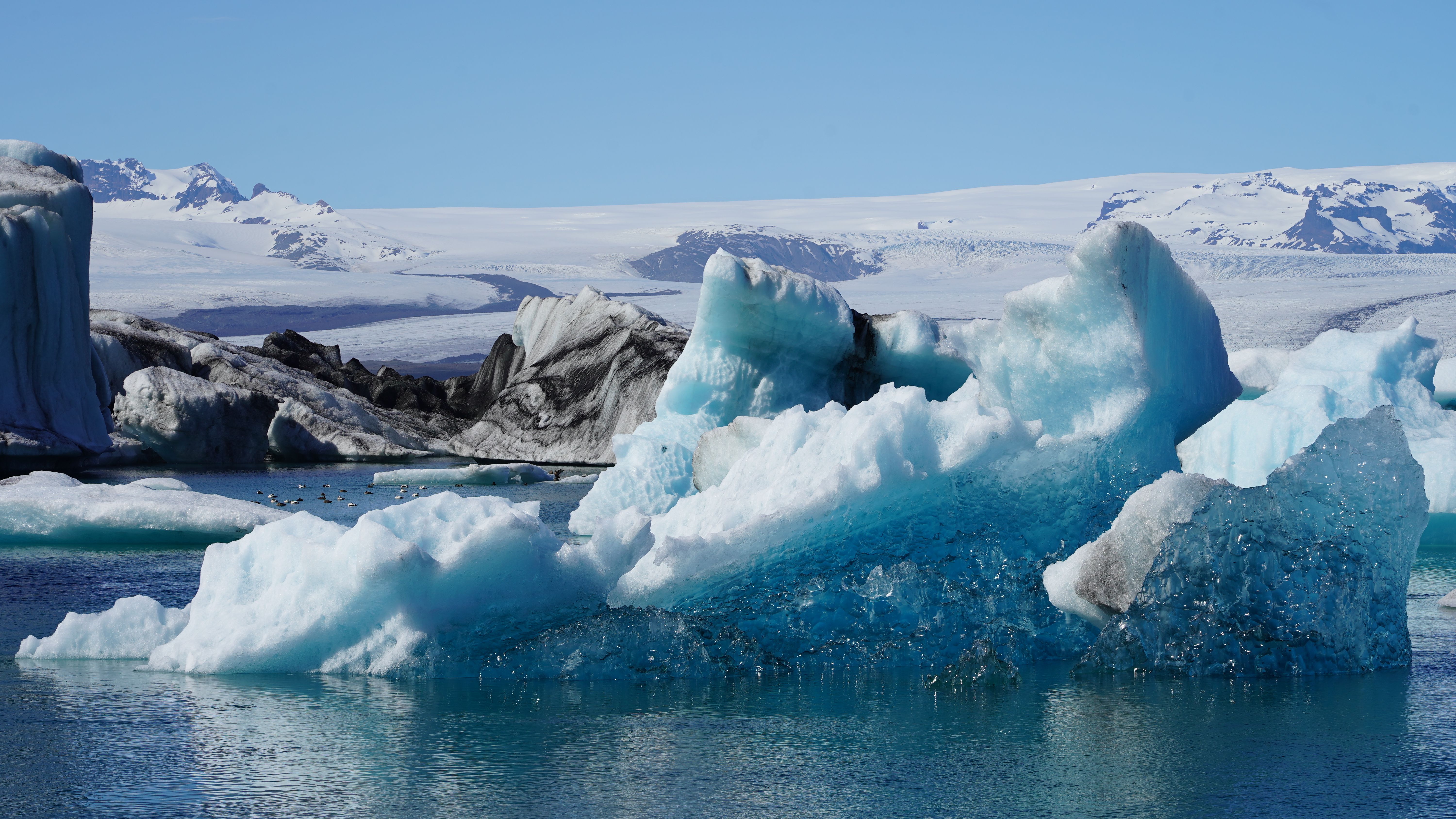 Blue glacial ice floating in Arctic water beneath a broad icefield