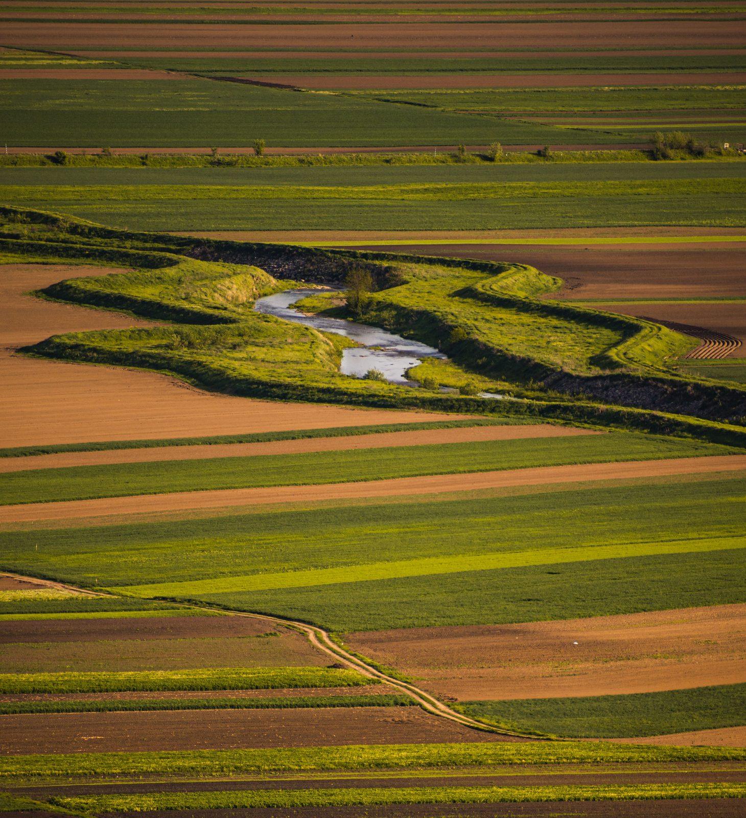 Aerial view of long strip fields in green and tilled brown, split by a meandering creek held in a narrow band of uncut grass and trees